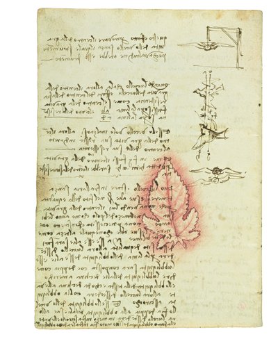 Códice sobre el vuelo de los pájaros, Folio 15 verso de Leonardo da Vinci